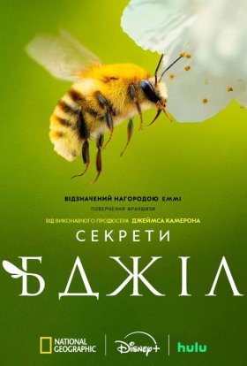 Секрети бджіл