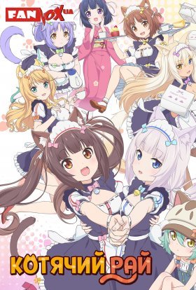 Котячий рай