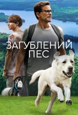 Загублений пес