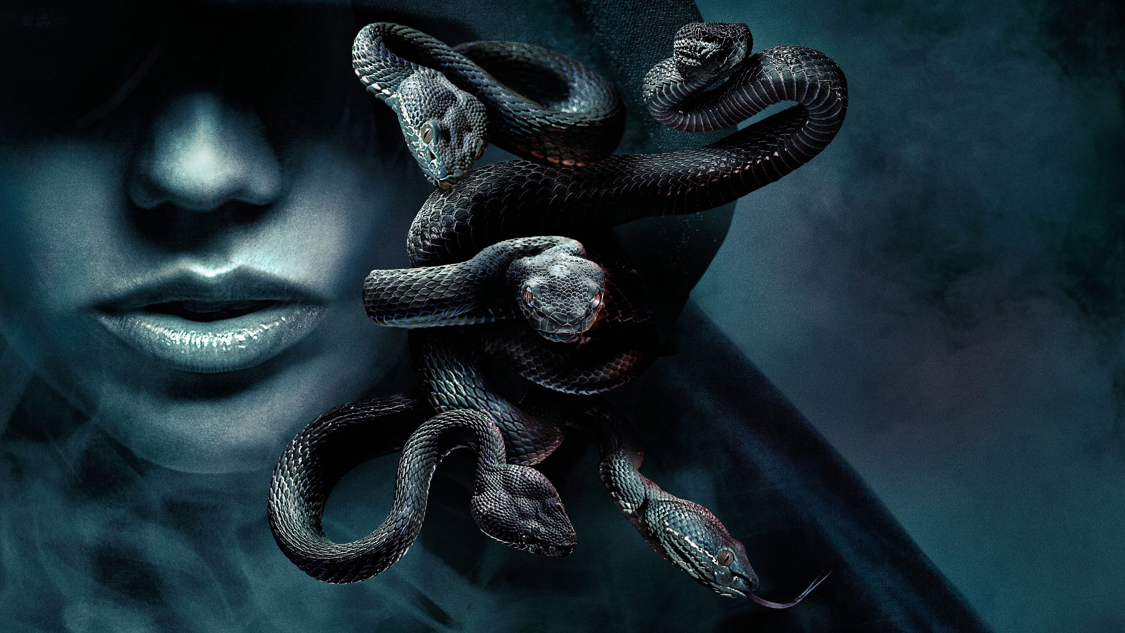 Poster 4