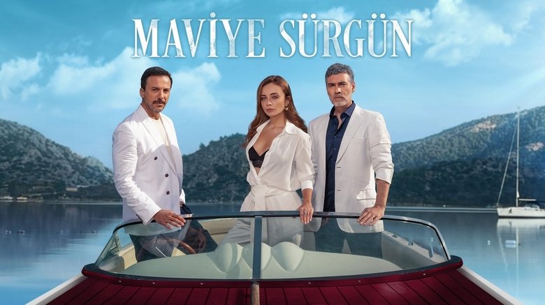 Poster 3
