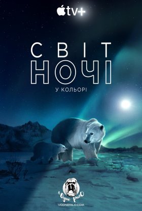 Кольори нічної планети