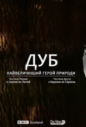 Дуб. Найвеличніший герой природи