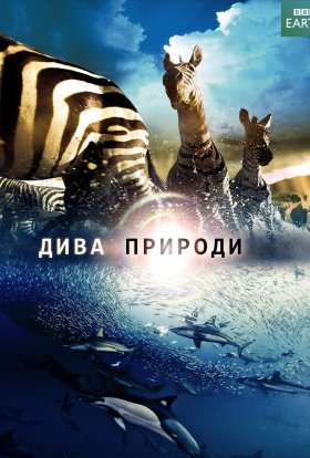 Дива природи / Бі-Бі-Сі Найвеличніші події живої природи