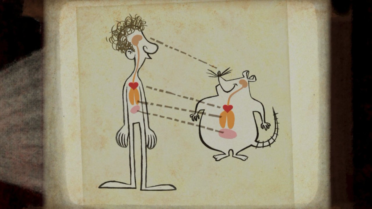 Poster 4
