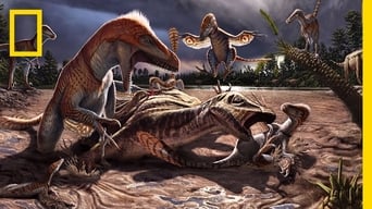 Poster 4