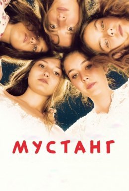 Мустанг
