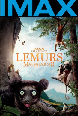 Острів лемурів: Мадаґаскар