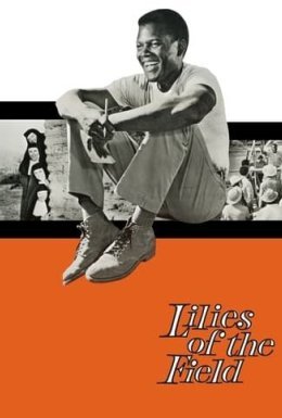 Польові лілеї