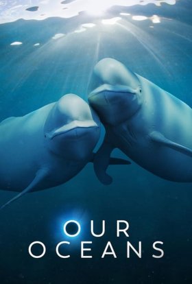 Наші океани