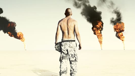 Poster 1