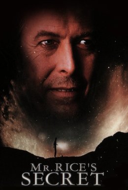 Таємниця містера Райза