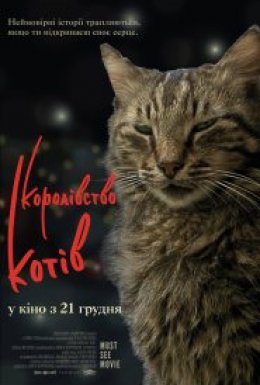 Королівство котів / Кіт