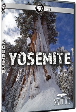 Йосеміті