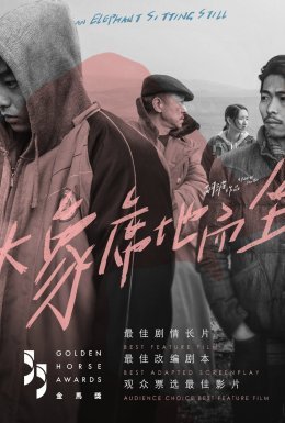 Слон сидить спокійно