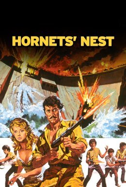 Гніздо шершнів