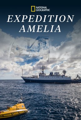 Експедиція «Амелія»