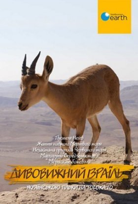 Дивовижний Ізраїль