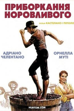 Приборкання норовливого / Приборкання непокірного