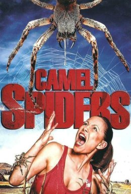 Верблюжі павуки