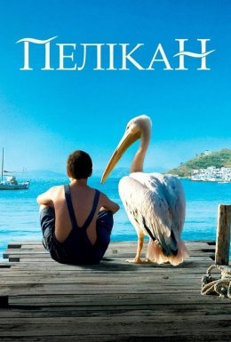 Пелікан