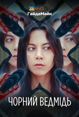 Чорний ведмідь