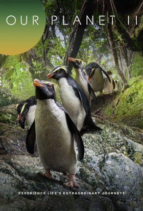 Наша планета