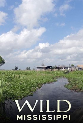 Таємниці Міссісіпі