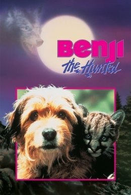 Гонитва за Бенджі