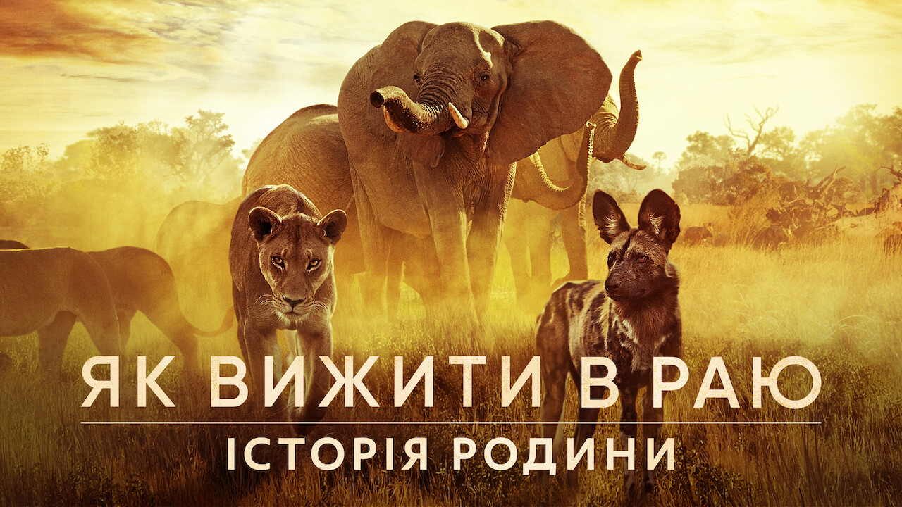 Poster 3