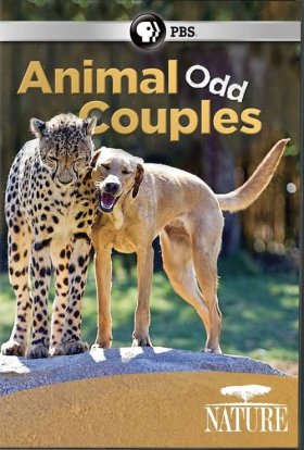 Незвичайні друзі