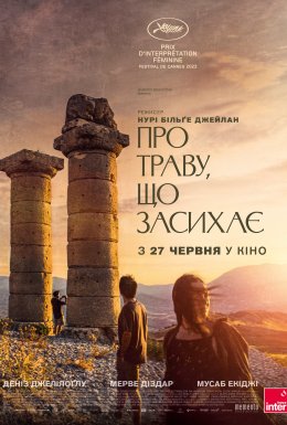 Про траву, що засихає