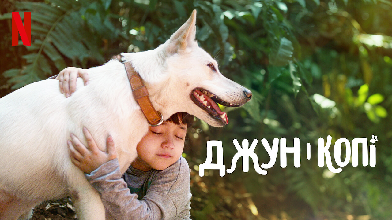 Poster 4