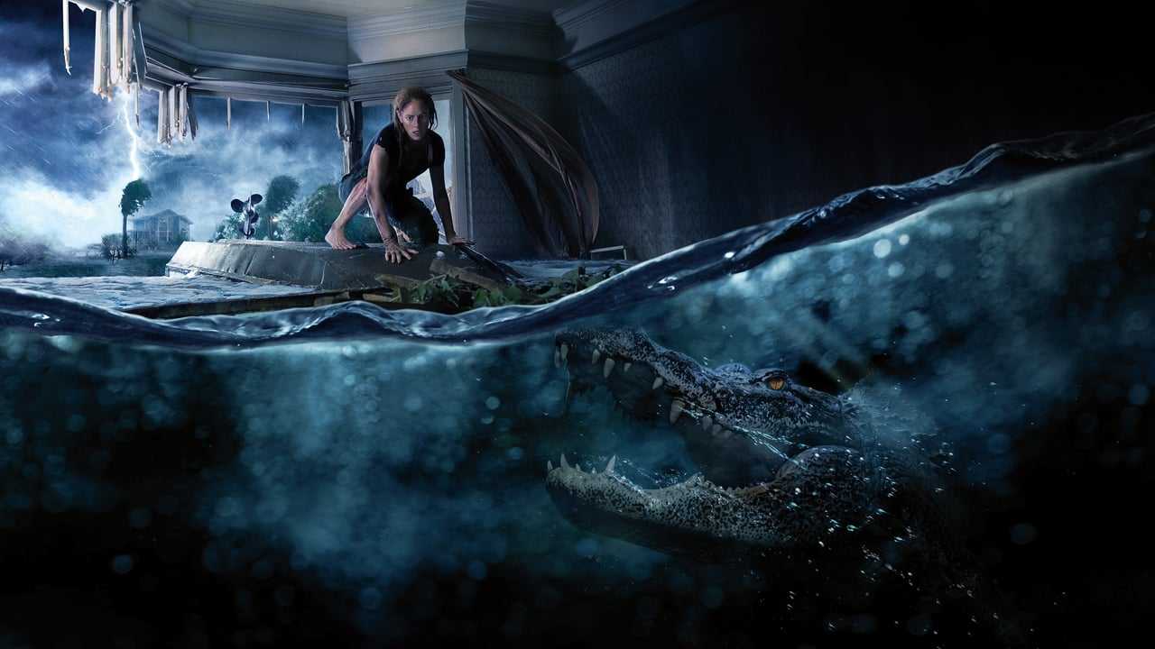 Poster 4