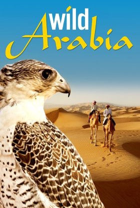 Таємнича Аравія