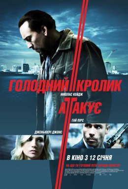 Голодний кролик атакує