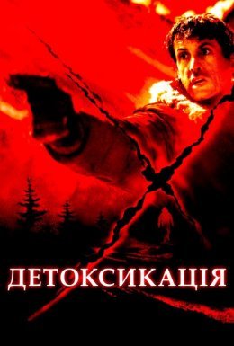 Детоксикація