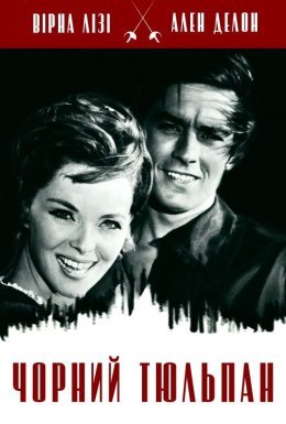 Чорний тюльпан