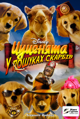 Цуценята у пошуках скарбів / П'ятірка шукачів скарбів
