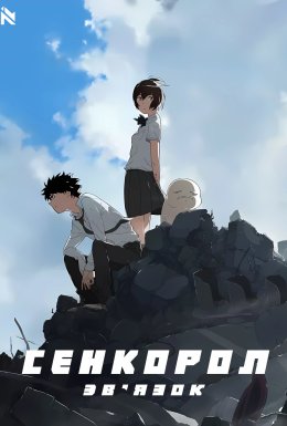 Сенкорол. Підключення