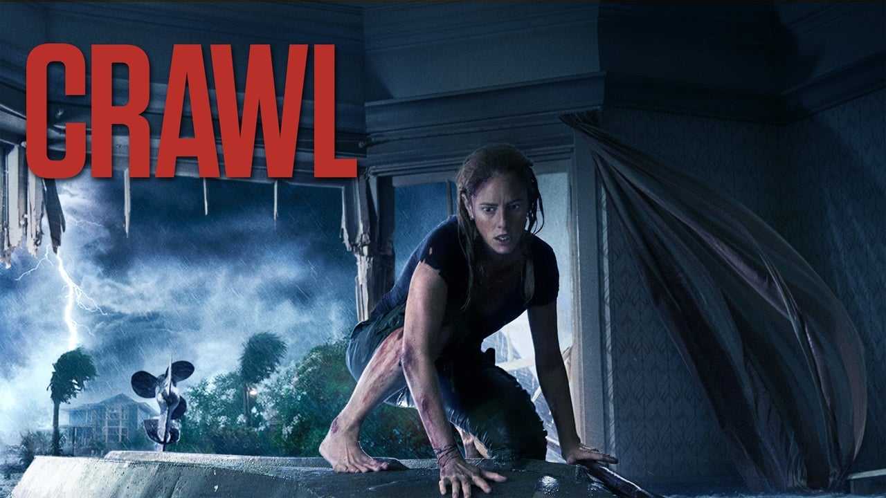 Poster 3