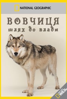 Вовчиця - шлях до влади