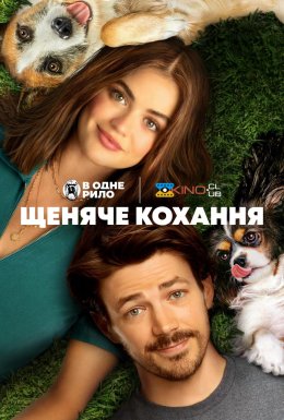 Щеняче кохання