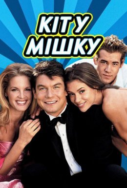 Кіт у мішку