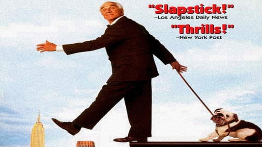 Poster 4