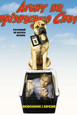 Агент на прізвисько Спот