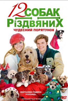 12 Різдвяних собак: Чудесний порятунок