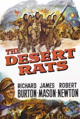 Пацюки пустелі / Щури пустелі