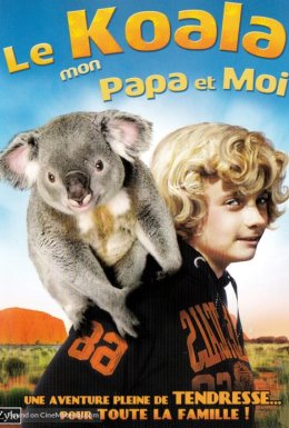 Коала в кухні