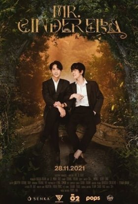 Містер Попелюшка